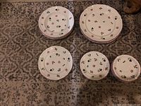 Overall view of the 17 piece set arranged on patterned rug showing grouped dishes by type