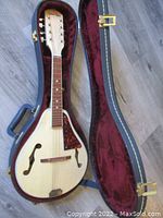 Mandolin inside open hard shell case showing maple body, two f-holes, tortoiseshell pickguard, and missing string, with plush red interior of case visible.