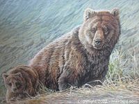 Close view of bear mother and cub in grassy hillside.