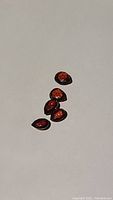 Five cherry red garnet gemstones arranged on white surface showing color and cut.