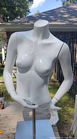 Front view of white female torso mannequin on adjustable stand, showing detailed torso and arms with hands