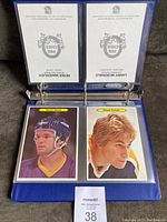Blue binder with clear plastic sleeves containing oversized hockey cards. Visible cards include Marcel Dionne and Wayne Gretzky.