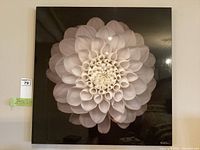 Full frontal image of the square floral photographic print hanging on wall, showing the entire artwork and signature.