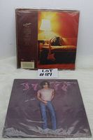 Photo showing two vinyl LP records with their album covers: Eric Clapton's cover with a lamp and guitar, and John Mellencamp's cover with his image in casual clothes