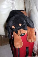 Stuffed dog lying on a red suitcase, showing black and brown plush fur with floppy ears.