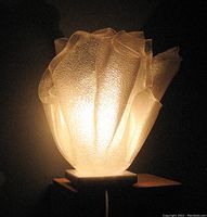 Lamp illuminated in dark setting showing warm glow