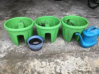 Three green plastic planters with dirt residues inside, positioned side by side on an outdoor surface, next to a small blue watering can and a white-and-blue small dish.