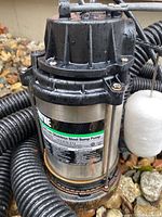 Close-up showing the Wayne brand label on the stainless steel sump pump indicating 3/4 HP and cast iron construction.