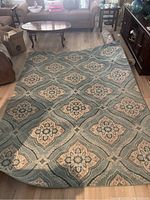 Full view of rectangular Claremont area rug with aqua and cotton colors, revealing the full size and patterned design.