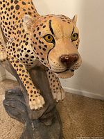 Close-up of cheetah head, front legs and rock base.