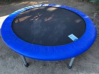 Top view showing round trampoline with black mesh jumping surface and blue padded edge.