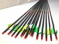 14 Gold Tip Hunter 340 hunting arrows laid out with visible fletching and red nocks, no bullet points attached