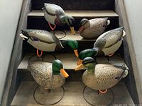 Photo of six Final Approach Gunner HD Field mallard duck decoys arranged on stairs, showing 5 two-piece and 1 one-piece decoys mounted on metal stands.
