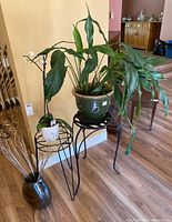 Photo showing two black metal plant stands, one holding a large green ceramic pot with live plant, the other holding a white ceramic orchid pot. Dark ceramic vase on floor to side.