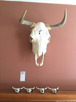 Wide view of large skull mounted on wall above wooden ledge holding four small skulls.