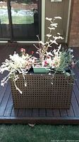 Front view of wicker planter with three live plants on wooden deck with house wall background