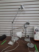 Photo showing all three bulbs together, highlighting the variety in sizes and styles, with power cords visible.