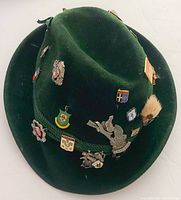 Green felt fedora hat angled to show numerous metal pins, including heraldic and regional badges, some with fur accents.