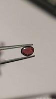 Close-up photo of a polished oval garnet gemstone held by tweezers showing its cherry red color and smooth faceted surface.