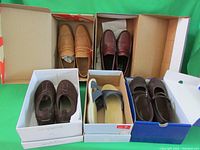 All five pairs of shoes in original boxes arranged on green background. Includes men's J Shoes tan loafers, burgundy Double-H moccasins, brown Easy Spirit shoes, black Skechers Mary Janes, and dark Rockport sandals.