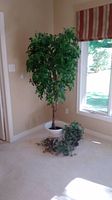 Tall faux tree with green leaves in a white pot, standing near window corner, tallest item in the lot
