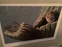Full view of framed print showing owl and cactus composition