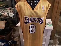 Front view of vintage Kobe Bryant Los Angeles Lakers jersey size XL with number 8 and Lakers logo.