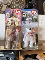 Front view of Britannia The Bear and Maple The Bear TY Beanie Babies in original plastic and card packaging.
