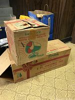 Two cardboard boxes: bottom box for Evergleam tree, top box for Sat-Lite color projector