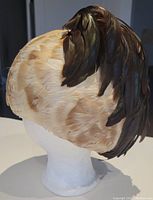 Side view showing light beige feather body and dark brown feather accent extending from top to back