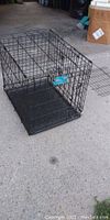 Full view of the collapsible black metal dog crate with plastic tray inside, showing overall condition and construction.