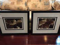 Two framed leaf photographs side by side showing overall composition and size