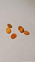 Five oval polished Fanta orange Ethiopian fire opals showing color flash on white background