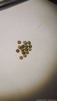 Top view of 14 round unakite cabochon stones scattered on a white surface, showing color pattern and size.