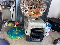 Wide view showing leopard print cat bed with paw print cushion on top of beige cat carrier, circular green cat toy with tennis ball and red bird toy to the left