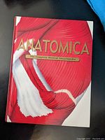 Front cover of Anatomica book with anatomical muscle graphics and title