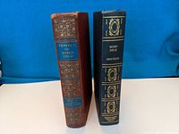 Photo of spine and standing position of two vintage hardcover books: Travels of Marco Polo and Moby Dick