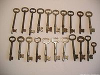 Overview photo showing all 21 assorted antique metal skeleton keys laid out in two rows, displaying varied bow shapes and bit designs.
