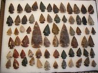 68 flaked stone points laid out on white foam backdrop