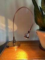 Full view of copper gooseneck lamp showing flexible neck and bulbous head on wooden surface near plant.