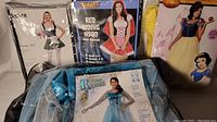 Photo showing four Halloween costumes in packaging including Bavarian Girl, Red Riding Hood, Snow White, and Princess Krystal costumes.
