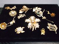 Thirteen gold tone brooches with floral, leaf, and decorative designs arranged on black velvet.