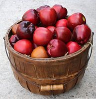 Wooden bucket filled with various painted wooden apples under natural light on concrete surface.