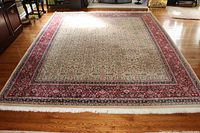 Full view of rug laid flat on hardwood floor