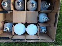 Top-down view of 9 Utilitech flood light lamps laid in cardboard packaging, showing the bulb ends with screw bases and two bulbs facing upward clearly visible