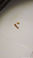 Three loose pear-shaped orange Spessartite garnet gemstones shown on flat surface.