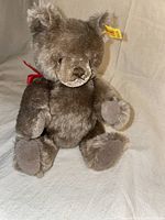 Front view of the brown plush Steiff teddy bear sitting upright on a light fabric surface showcasing its complete form and red ribbon around its neck.