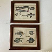 Two framed engravings hung on wall showing entire lot