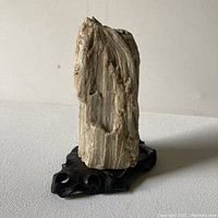 Full view of petrified wood fossil specimen standing vertically on carved wooden stand against neutral background