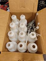 Open box showing ten white plastic bottles without sprayers attached, arranged in two layers.